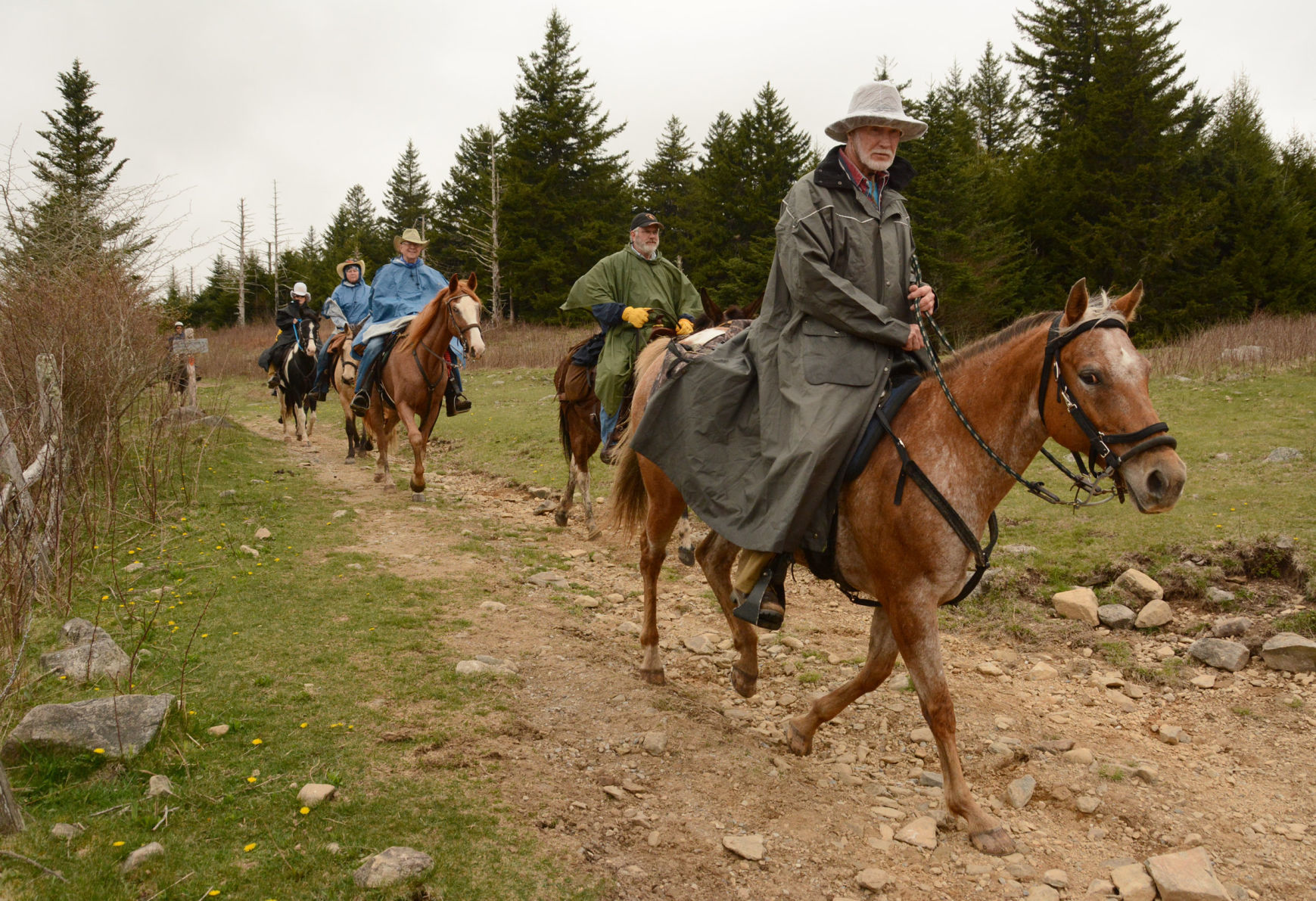 Mount Rogers National Recreation Area